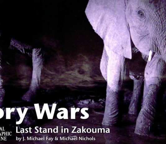 The Ivory wars at Zakouma National Park Zakouma Ivory Wars