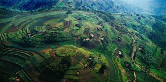 Rwanda Named Among Top Tourist Destinations Rwanda Terraced Hills