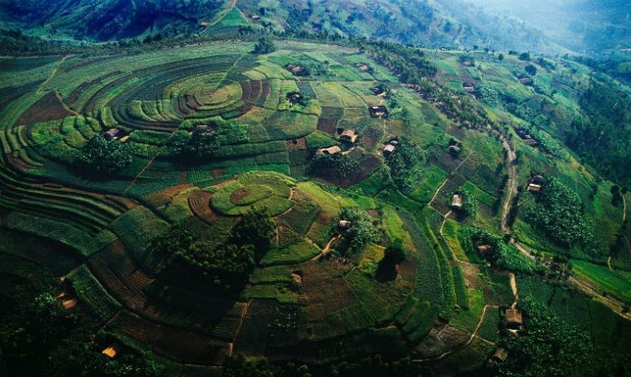 Rwanda Terraced Hills