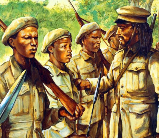A Time There Was: History of the Mau Mau Mau Mau Movie