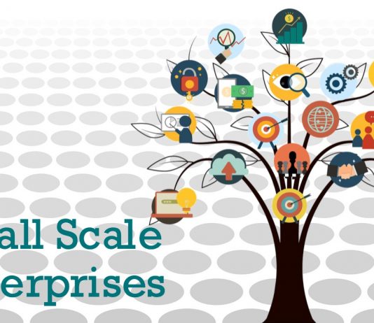 Small Scale Enterprises are Sustainable Foreign Direct Investments Small Scale Enterprises