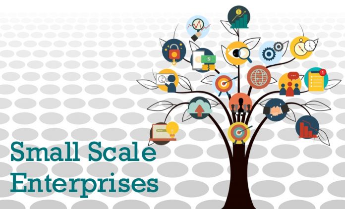 Small Scale Enterprises