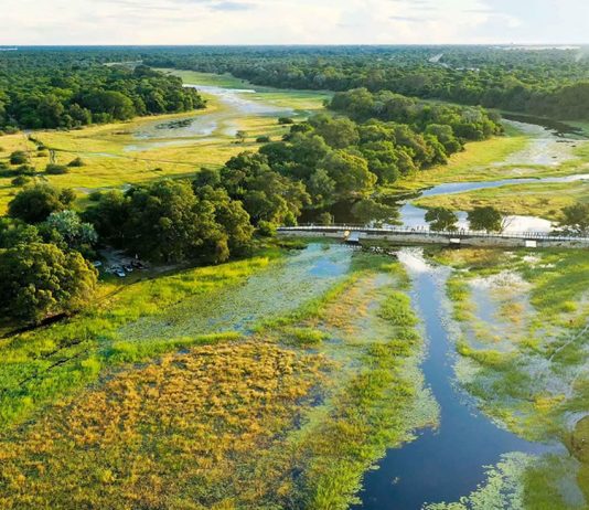 Tourism to Provide Africa 3.8 Million Jobs in Next 10 Years Botswana Tourism