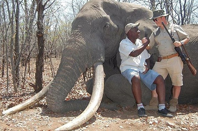 German Tourist Kills Elephant