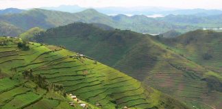 Uganda Listed Among 20 Best Destinations to Visit in 2016 Kisoro Terraced Hills