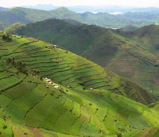 Uganda Listed Among 20 Best Destinations to Visit in 2016 Kisoro Terraced Hills