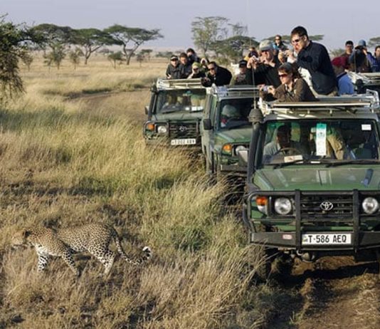 East Africa Tourism Guide Launched East Africa Safari