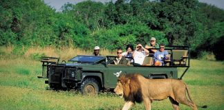 Africa’s Tourist Arrivals Up by 7% Africa Tourists
