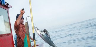 5 Ways to Help Save our Seas this World Fisheries Day Fishing in South Africa