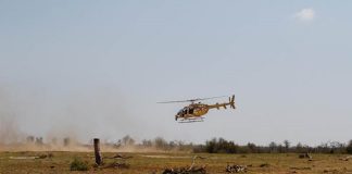 A Successful Rhino Rescue Rhino Rescue