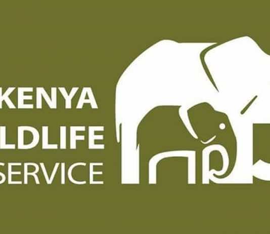 Kenya Scraps Cash Payment For National Park Entry Fees Kenya Wildlife Service