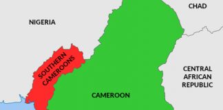 Cameroon’s Secessionist Crisis Ambazonia