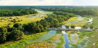 Botswana Tourism Now Accounts for One in Seven dollars in the Economy Botswana Tourism