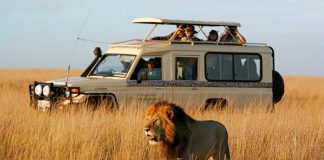 Change Your Life: Go on African Safari with National Geographic African Safari