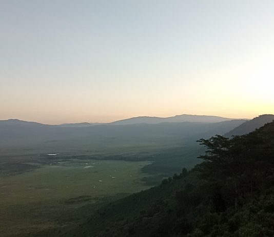 Inside the Ngorongoro Crater: A Separate World from the World Ngorongoro Crater