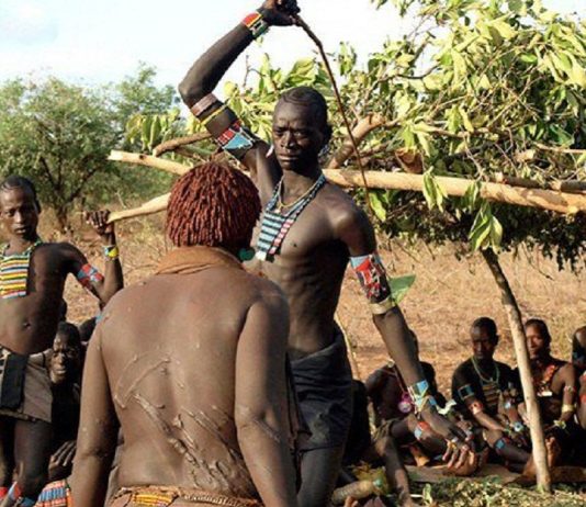 Women of Hamar tribe in Ethiopia beg their men to beat them as part of a custom Hamar Tribe People of Ethiopia