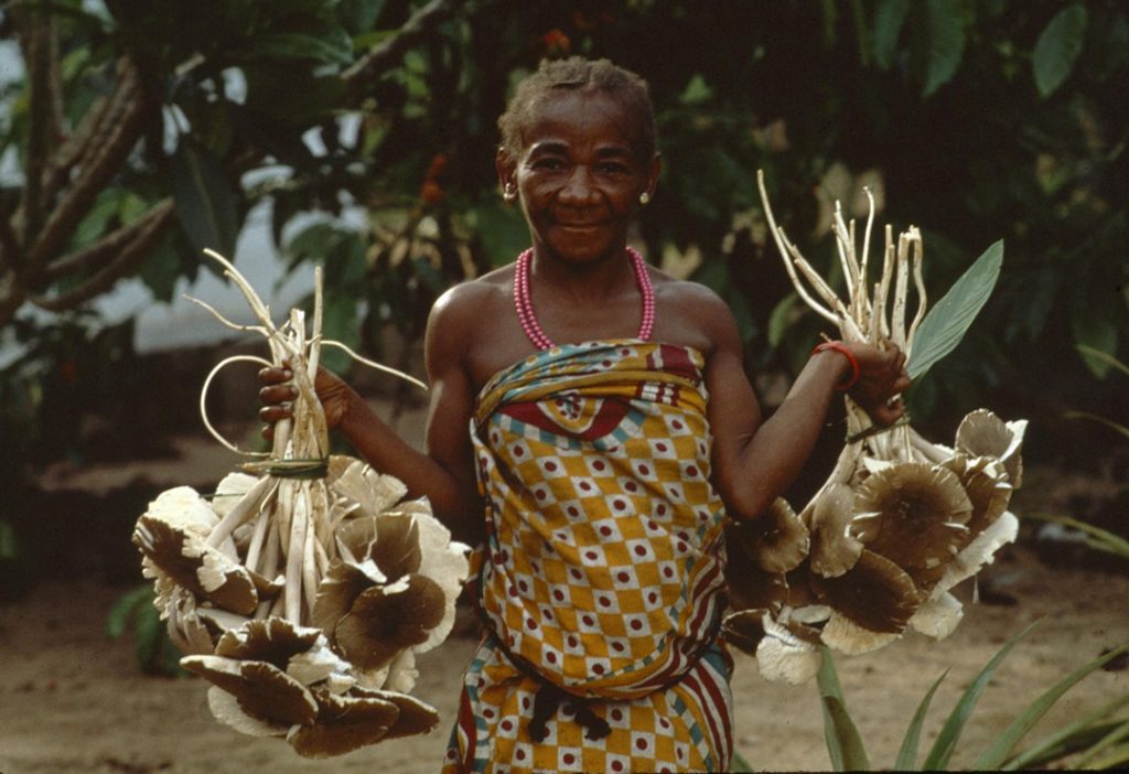Bambuti People