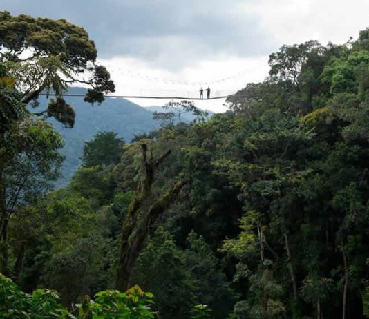 Talking Rwanda – 7 Extra Ordinary Adventures To Do In The Land Of A Thousand Hills