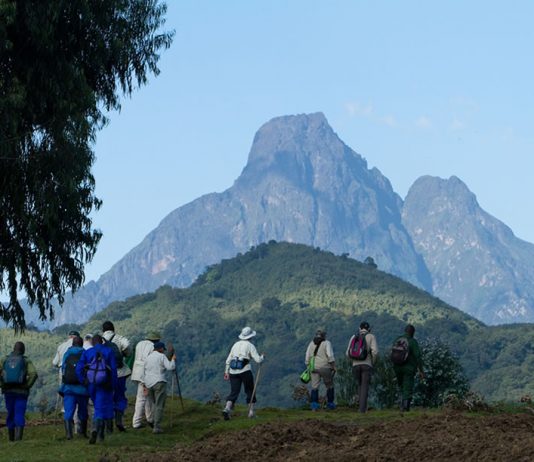 7 Things to Do in Volcanoes National Park of Rwanda Virunga Volcanoes