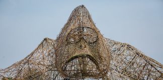 Arsenal Players Name Gorillas at 2020 Kwita Izina Kwita Izina