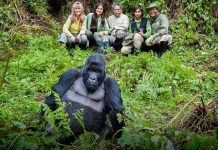 5 Best Places to See Gorillas in Africa Gorilla Trekking