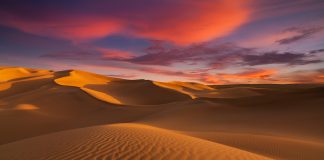 Lifetime’s New Reality Show ‘The Houstons: ‘On Our Own’ Premieres this October