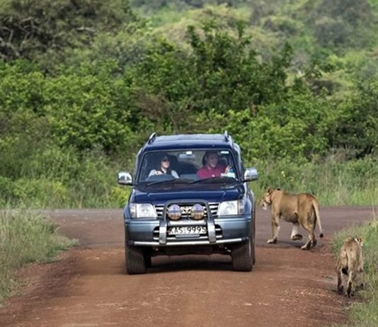 10 Tips for Renting a Car for Self Drive in Kenya Self Drive Kenya