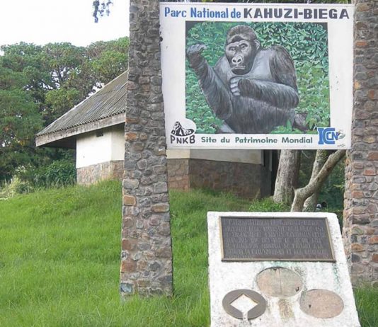 Kahuzi-Biega National Park: Lowland Gorillas, Volcanoes and More Kahuzi Biega National Park