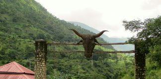 Best 7 Vacation Locations You Can Visit in Nigeria Obudu