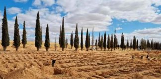 UN Uncovers New Evidence of Mass Graves in Libya Mass Graves
