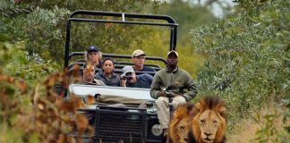 South Africa Tourism and Emirates Airlines in New Pact to Boost Visitor Arrivals South Africa Safari