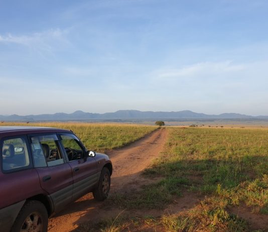 What are the Best Safari Car Options in East Africa