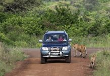 Lauryn Hill’s daughter Selah Marley Set To Take The Fashion & Modeling World By Storm {PICS} Self Drive in Kenya