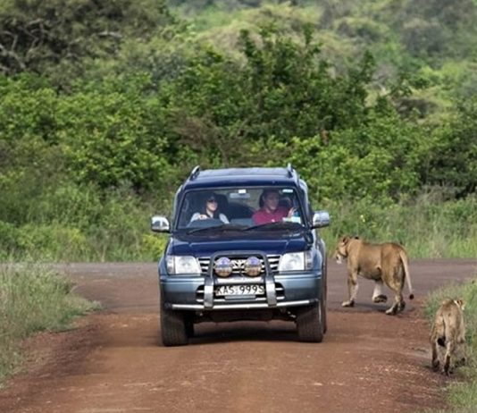 Car Rental and Border Crossing in East Africa Self Drive in Kenya