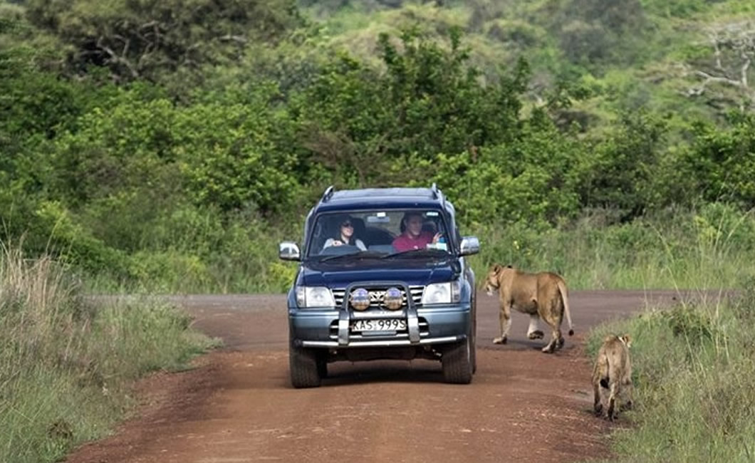 Self Drive in Kenya