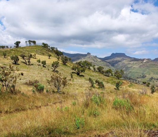 Mount Elgon: Explore the Giant of Eastern Uganda Mount Elgon of Uganda
