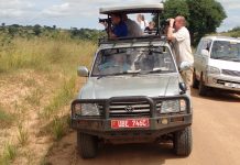 Are Guided Safaris Safer than Self-drive?