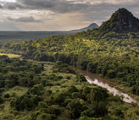 Gorongosa National Park: Mozambique’s Crown Jewel of Biodiversity Conservation Gorongosa National Park