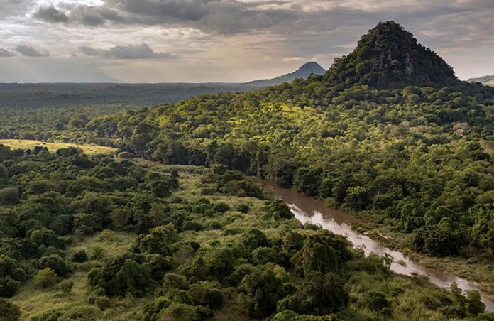 Gorongosa National Park