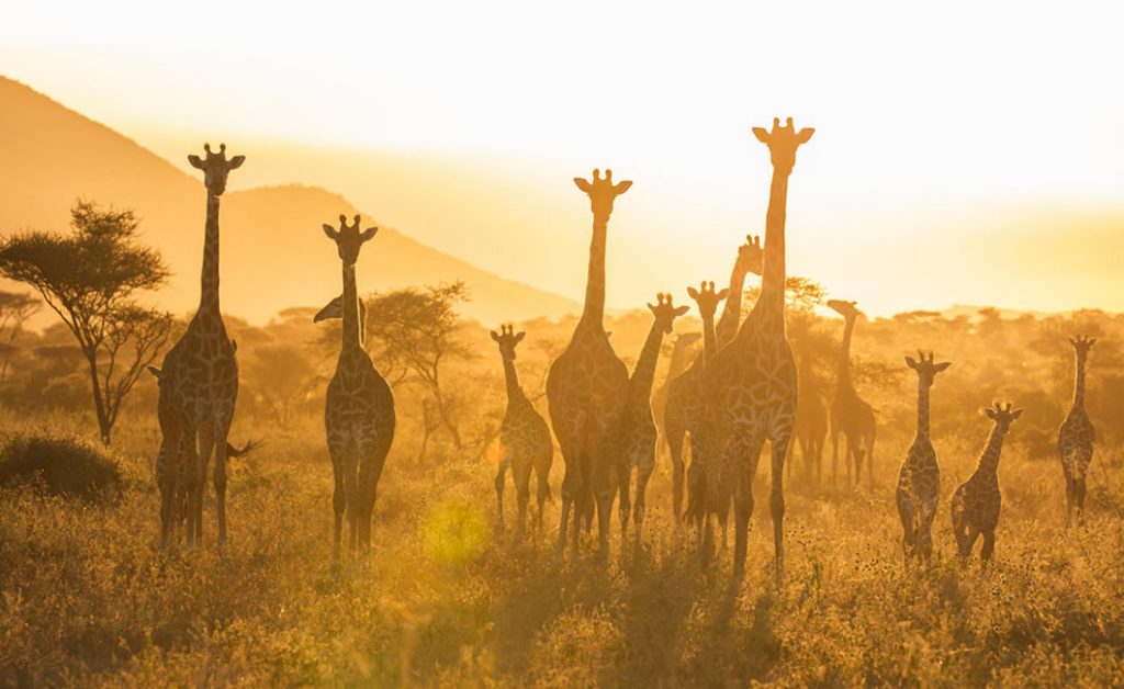Serengeti National Park