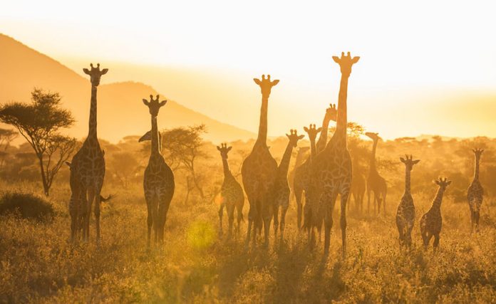 Serengeti National Park