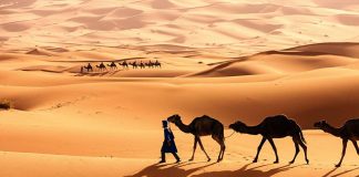 Sahara Desert: Africa’s Endless Sea of Sand Sahara Desert