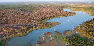 Eco-Tourism Adventures in Africa The Okavango Delta
